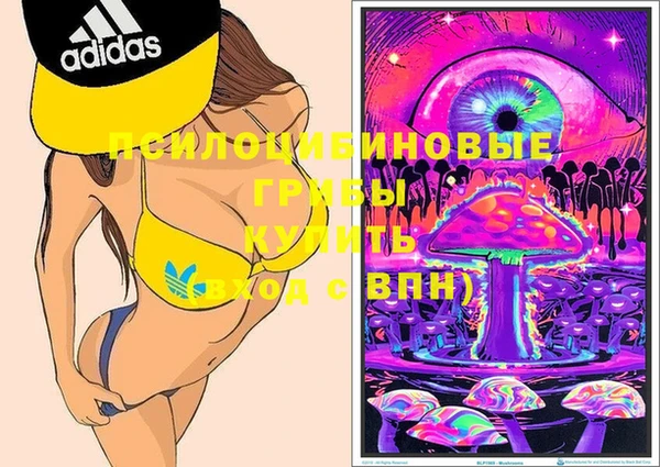стафф Бронницы